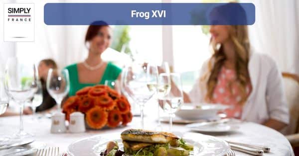 12. Frog XVI