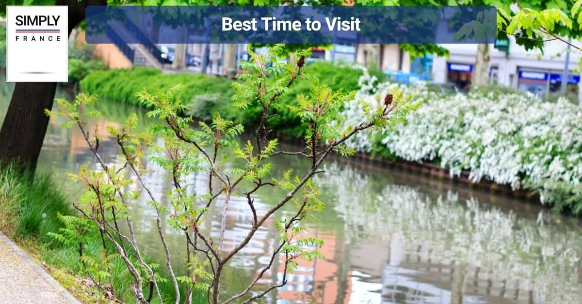 Best Time to Visit