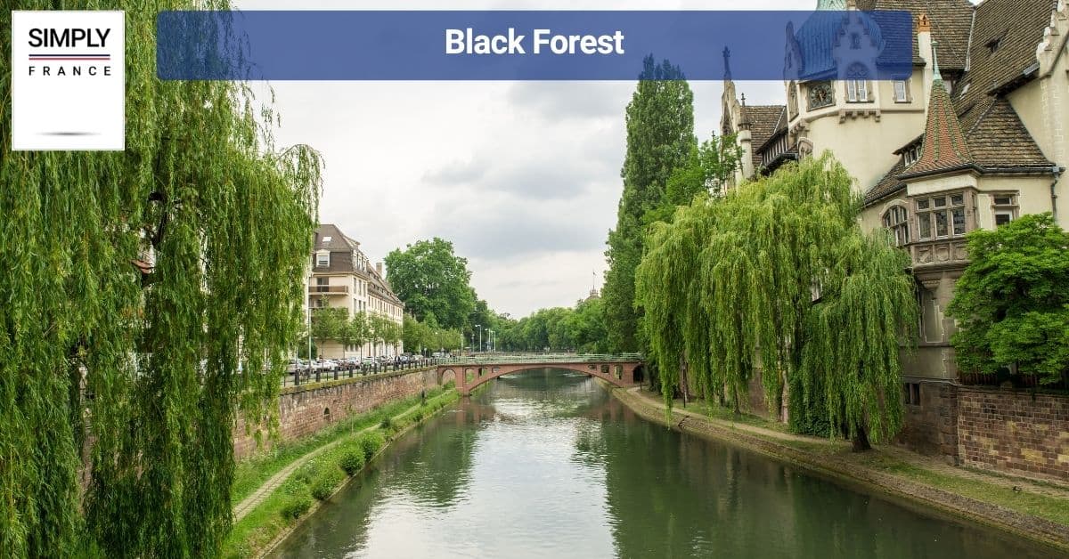 Black Forest