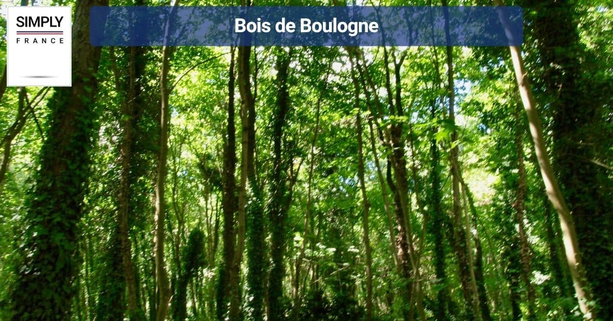 Bois de Boulogne