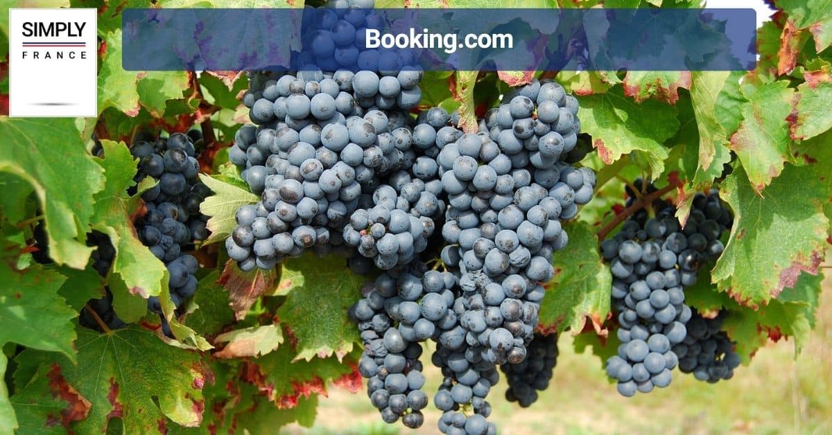 Booking.com