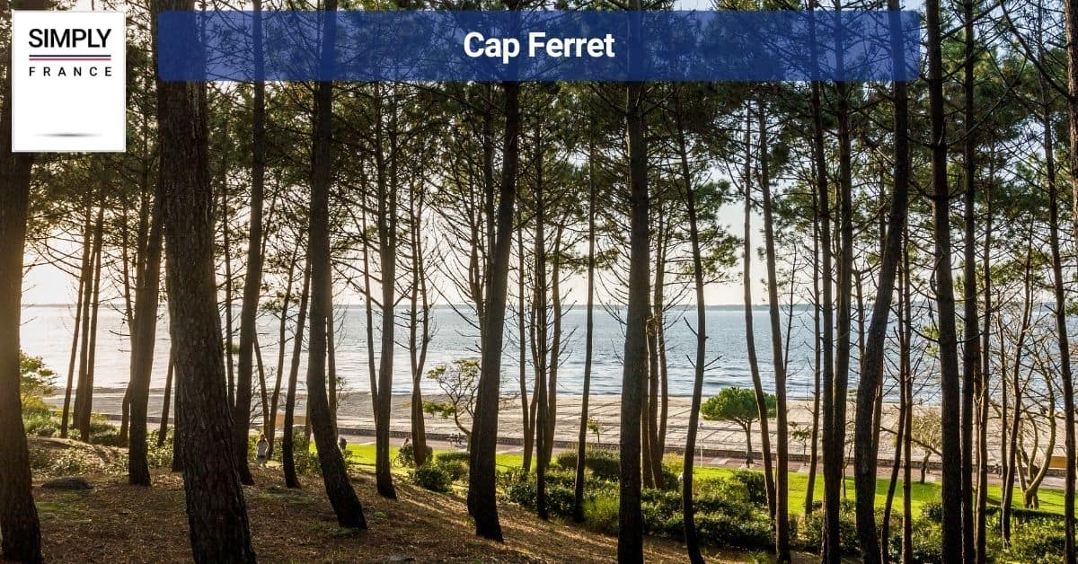 Cap Ferret