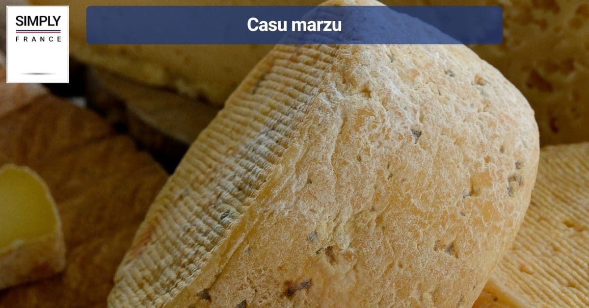 Casu marzu