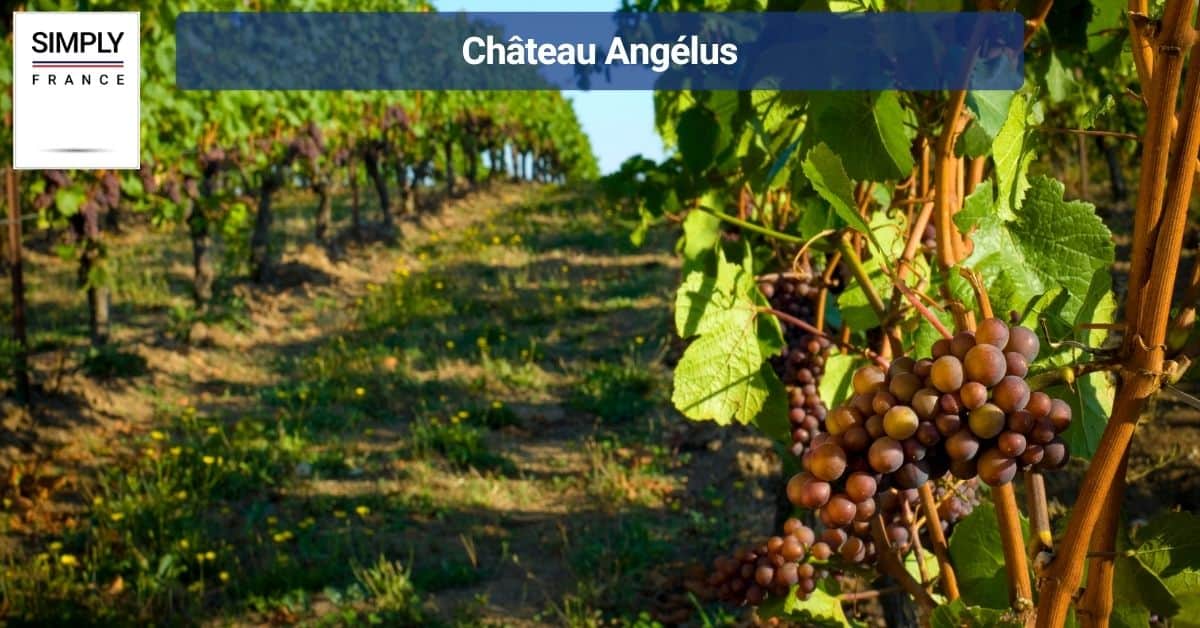 Château Angélus