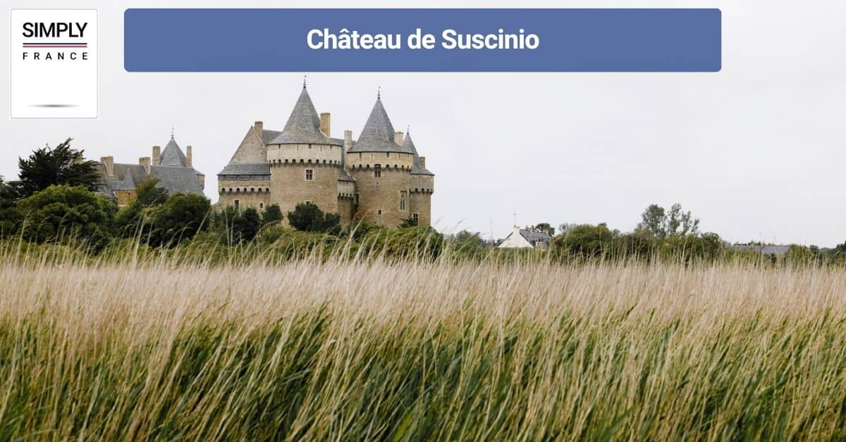Château de Suscinio