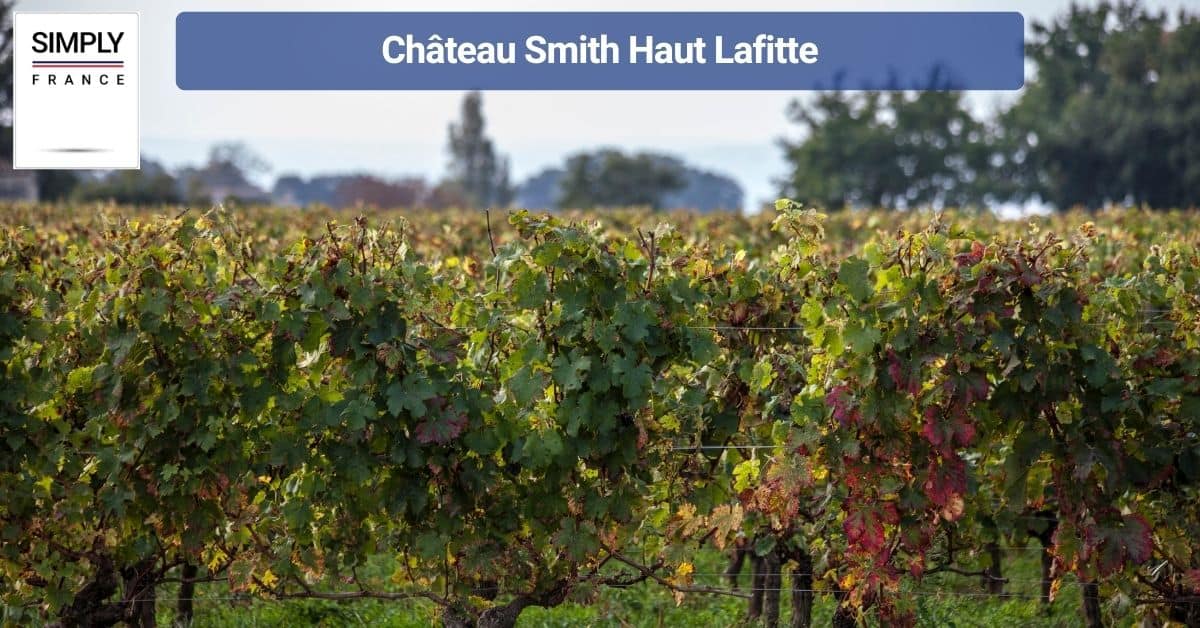 Château Smith Haut Lafitte