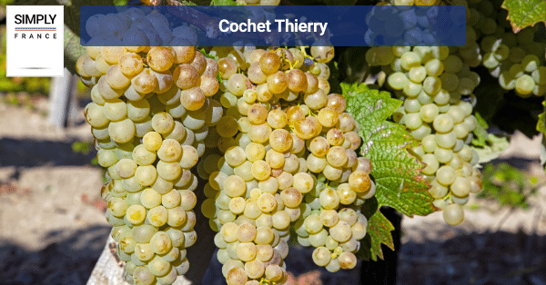 Cochet Thierry