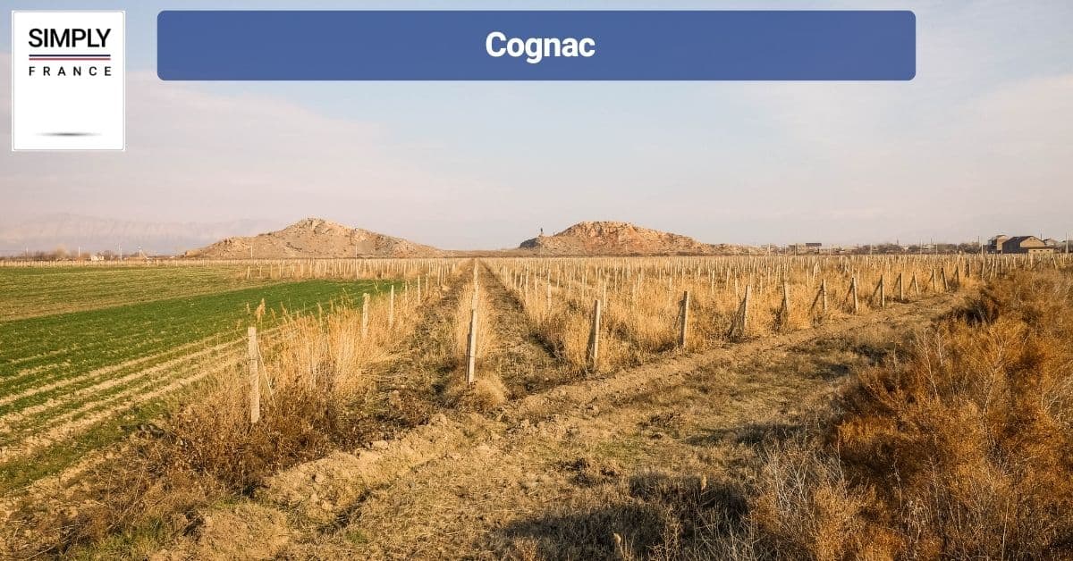 Cognac