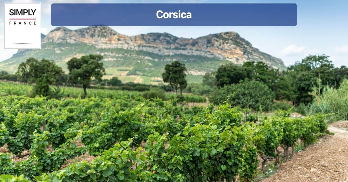 Corsica