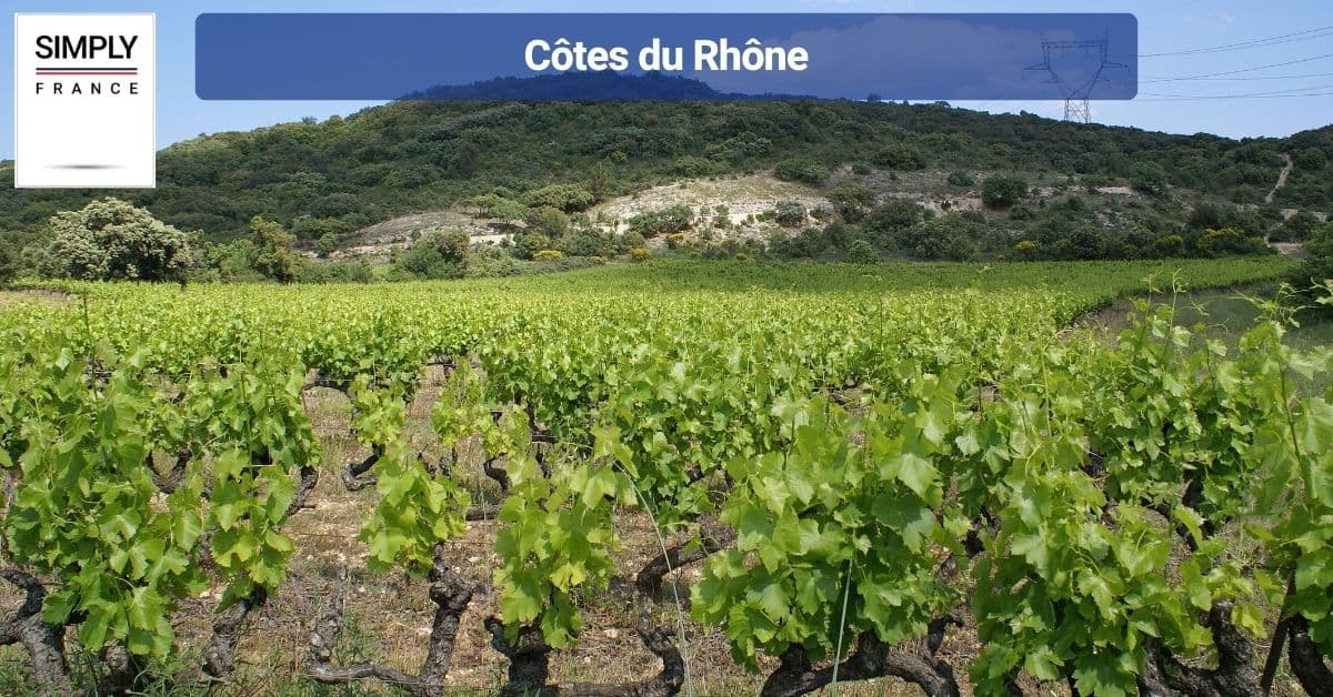 Côtes du Rhône