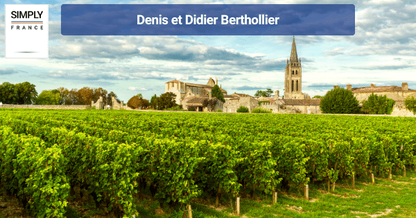 Denis et Didier Berthollier