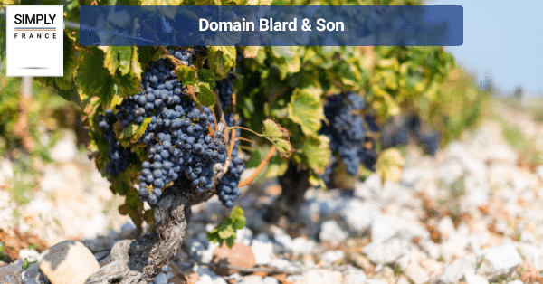 Domain Blard & Son