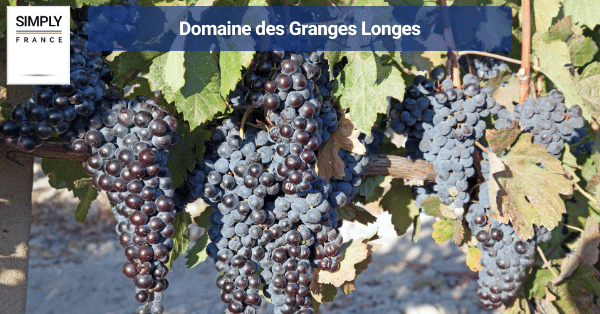 Domaine des Granges Longes