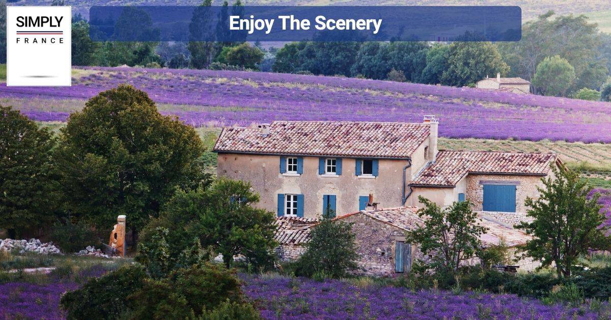 Enjoy The Scenery