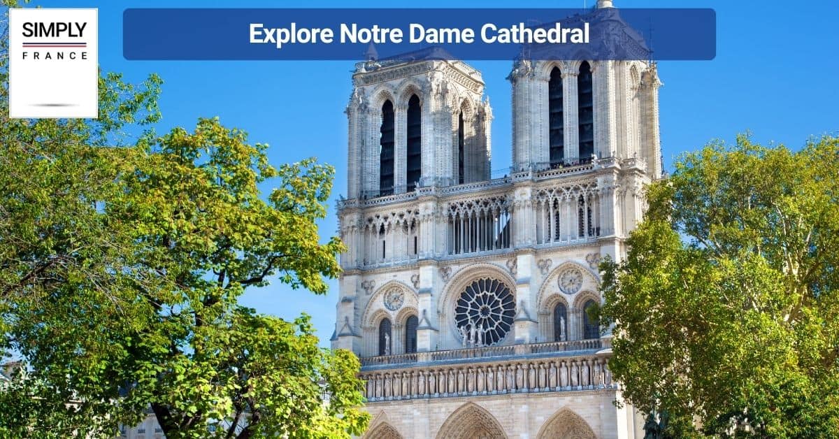 Explore Notre Dame Cathedral