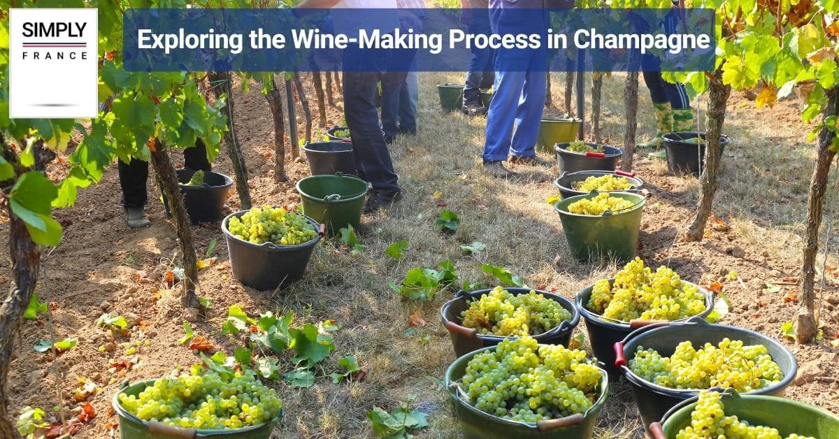 Exploring the History and Culture of Champagne, France
