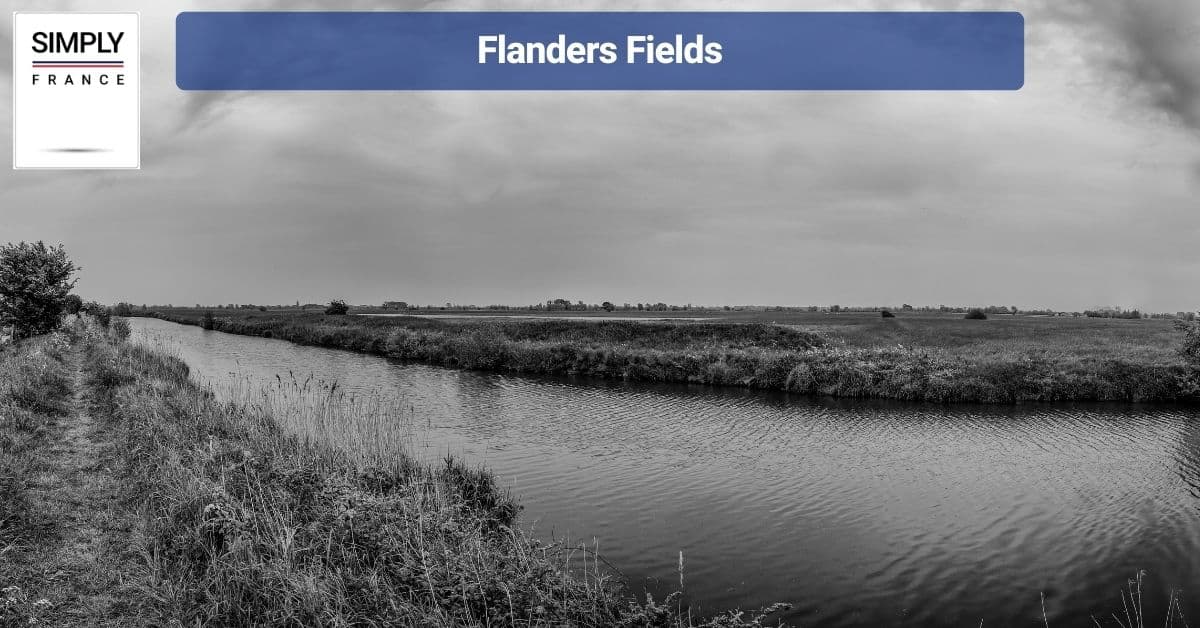Flanders Fields