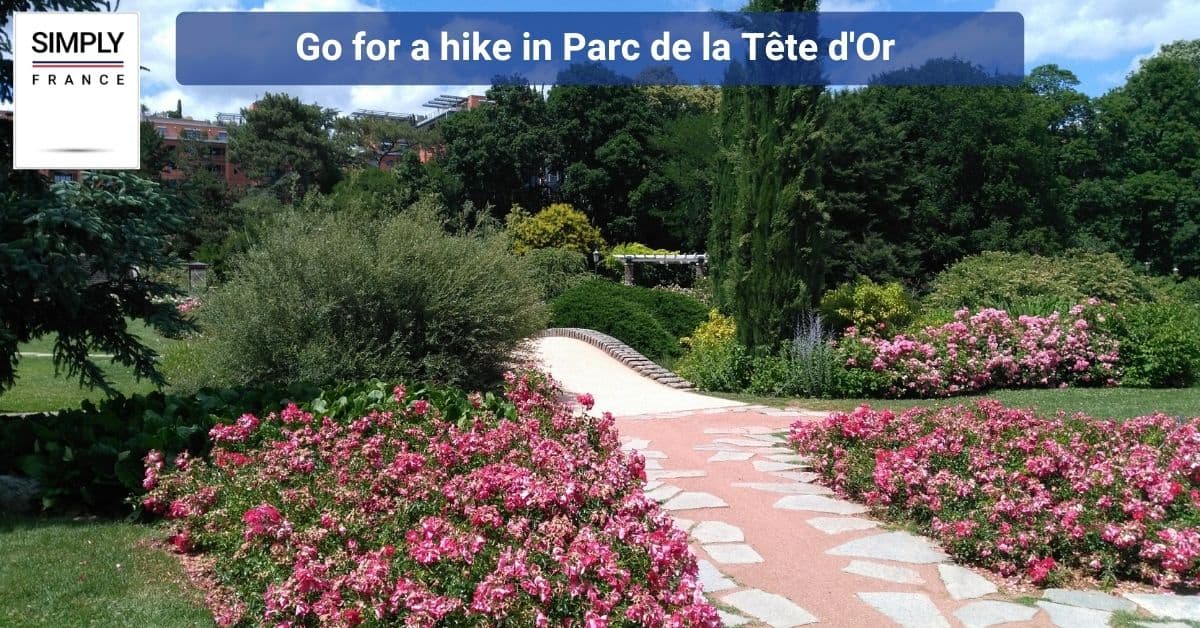 Go for a hike in Parc de la Tête d'Or