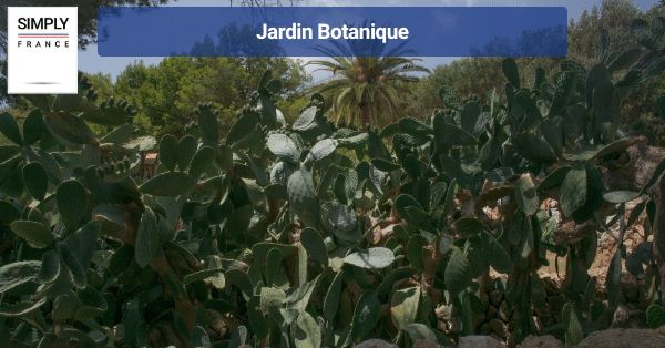 Jardin Botanique