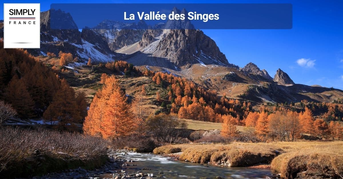 La Vallée des Singes
