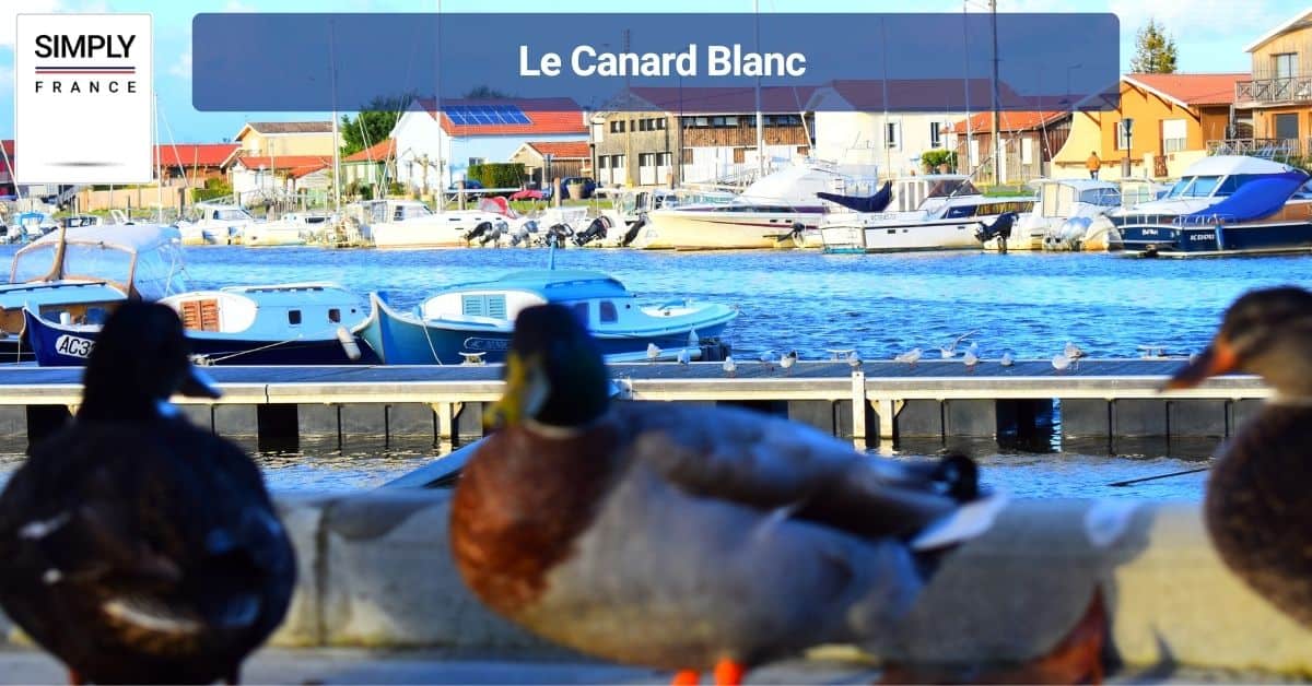 Le Canard Blanc