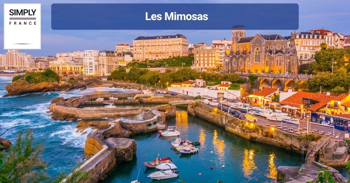 Les Mimosas
