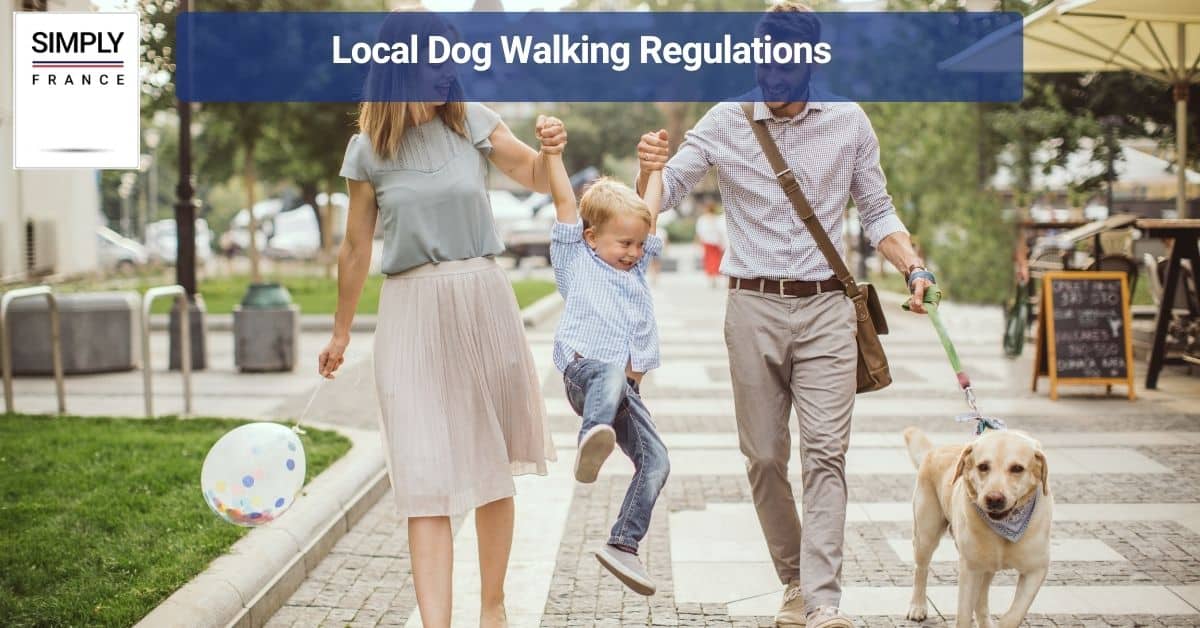 Local Dog Walking Regulations