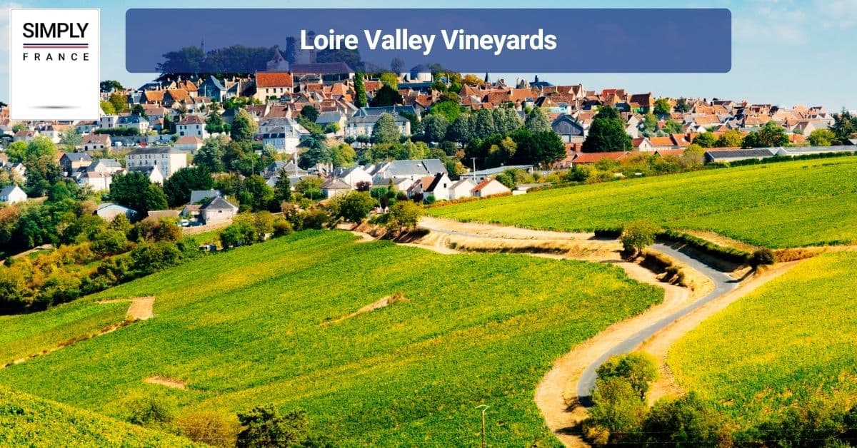 Loire Valley Vineyards