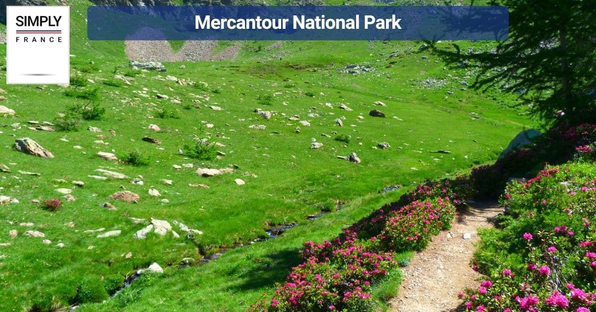 Mercantour National Park