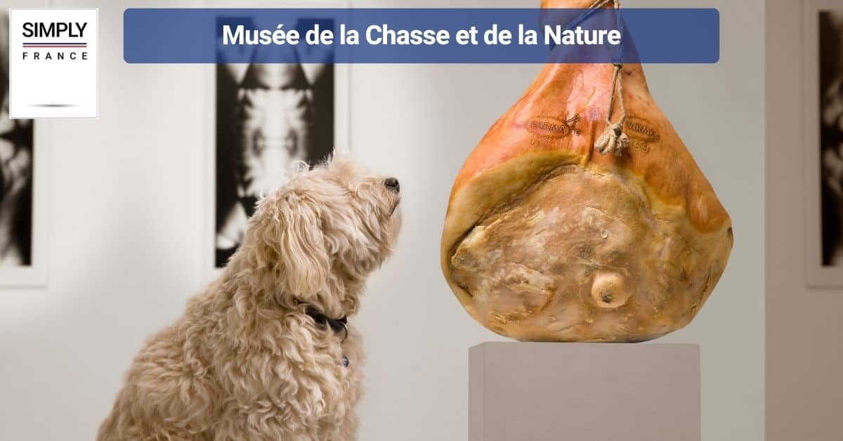 Musée de la Chasse et de la Nature