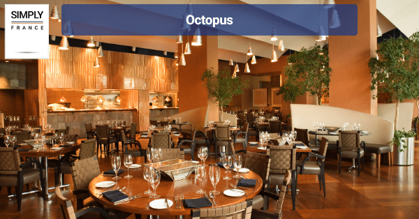 Octopus