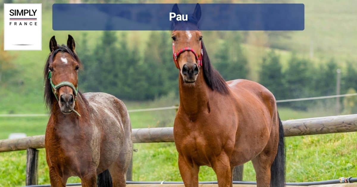 Pau