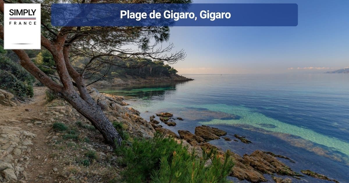 Plage de Gigaro, Gigaro
