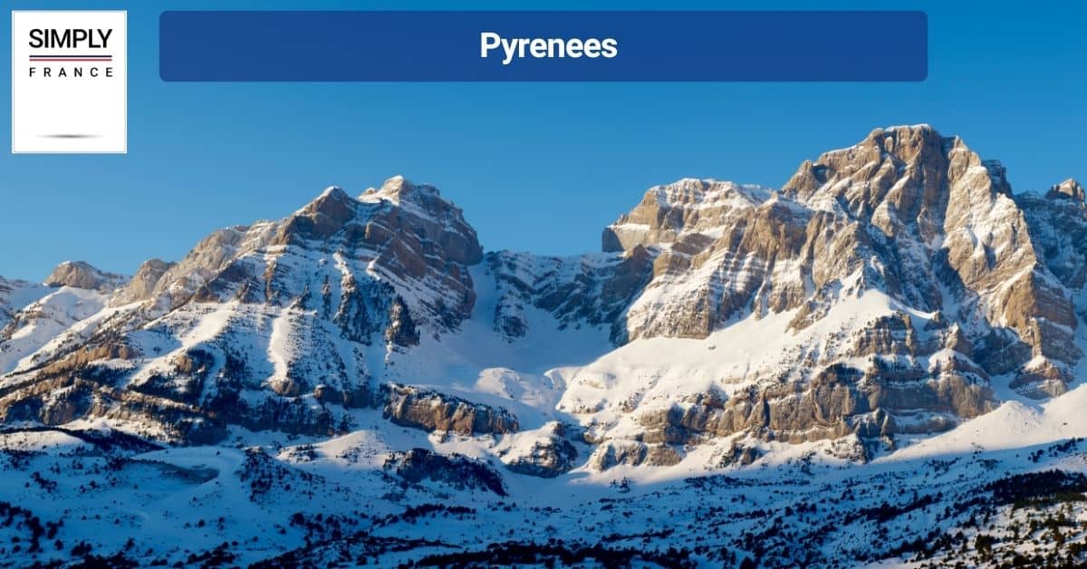 Pyrenees