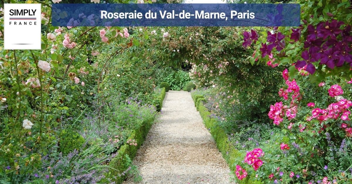 Roseraie du Val-de-Marne, Paris