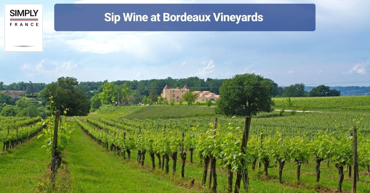 Sip Wine at Bordeaux Vineyards