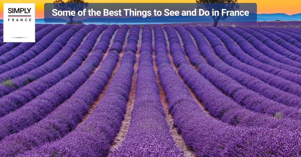 Some of the Best Things to See and Do in France