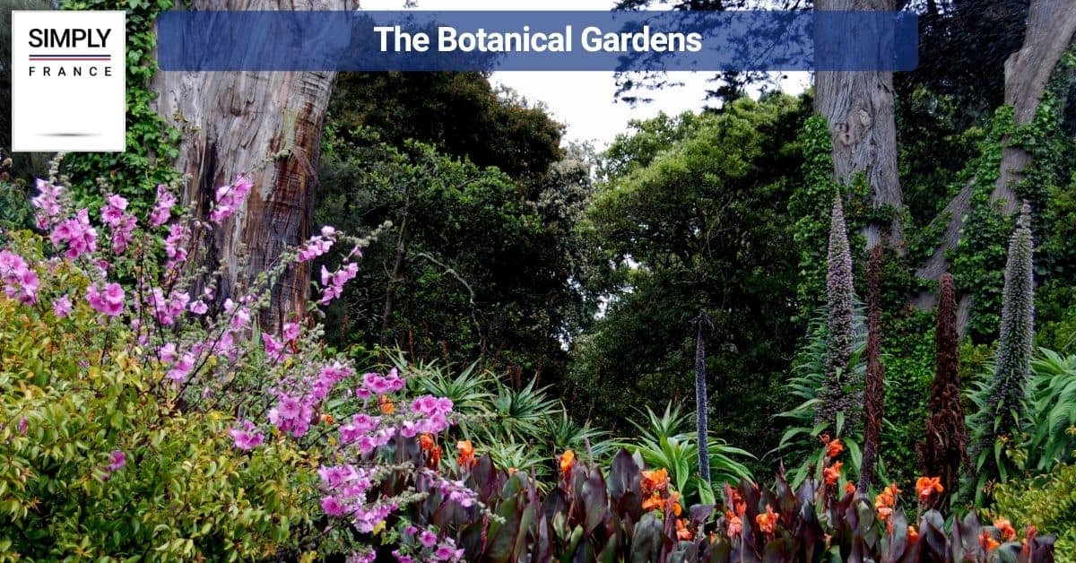 The Botanical Gardens