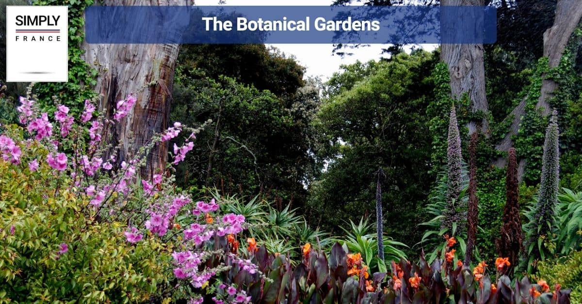 The Botanical Gardens