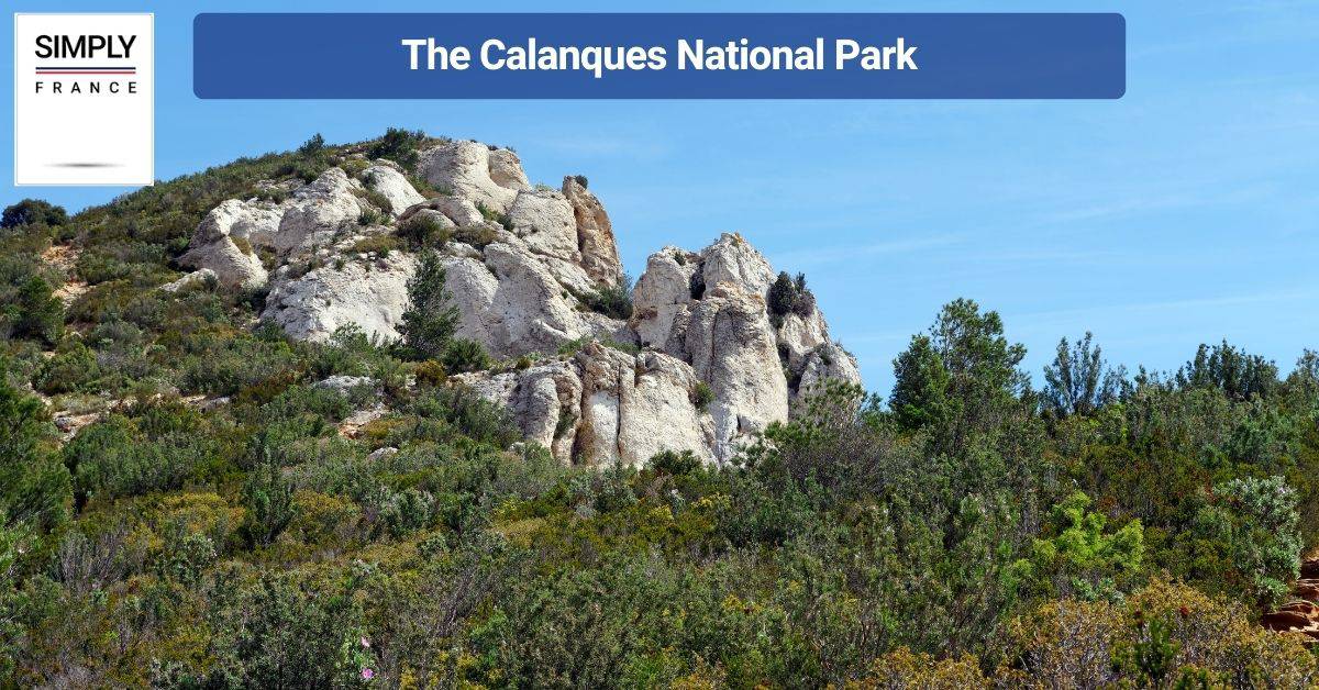 The Calanques National Park