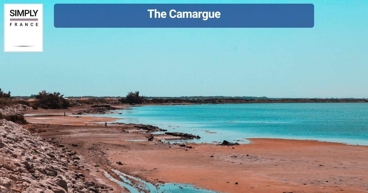 The Camargue