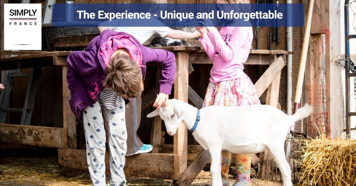 The Experience - Unique and Unforgettable