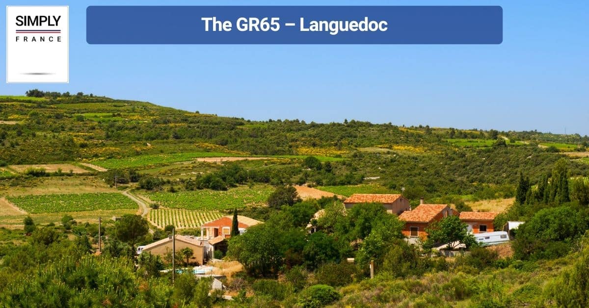 The GR65 – Languedoc