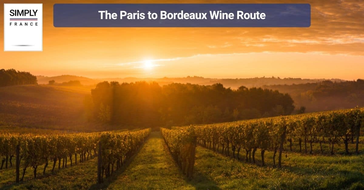 The Paris to Bordeaux Wine Route
