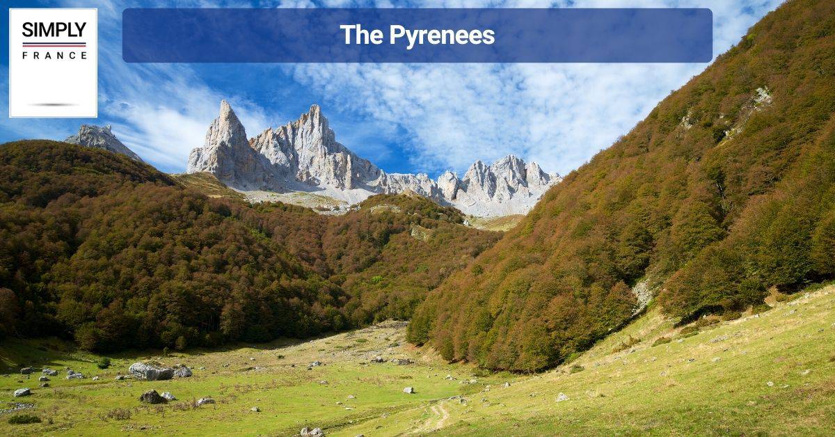 The Pyrenees