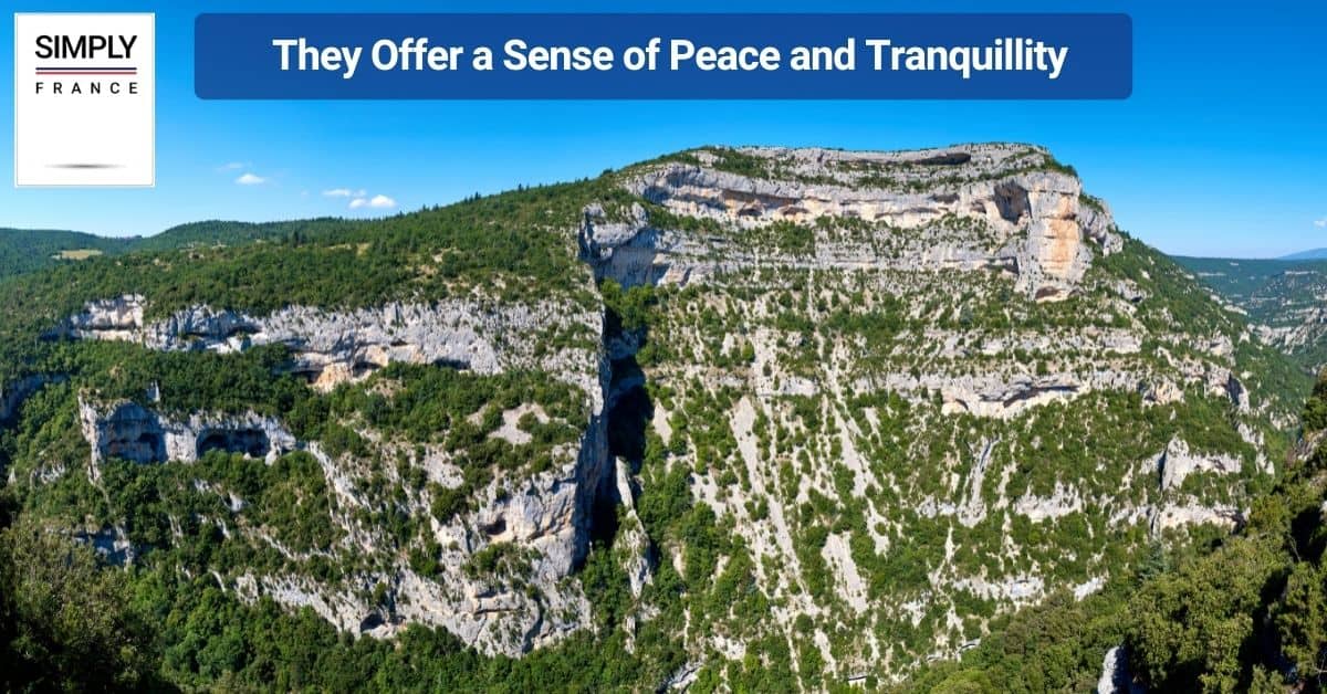 They Offer a Sense of Peace and Tranquillity
