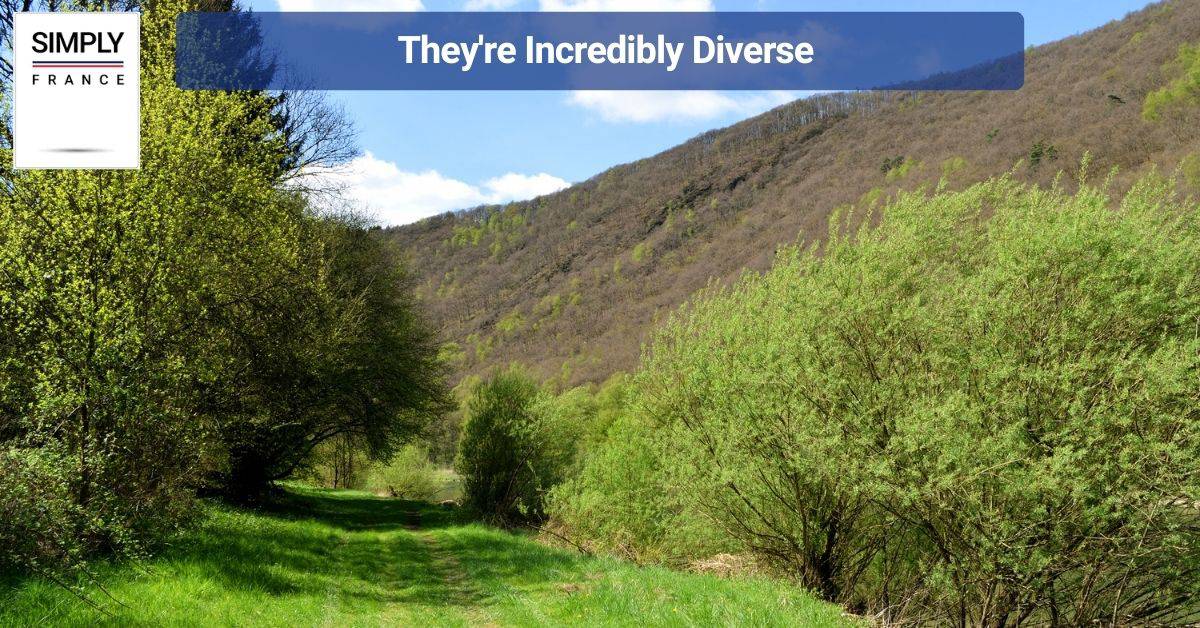 They're Incredibly Diverse