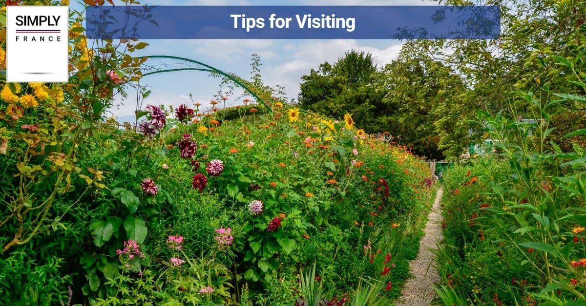 Tips for Visiting
