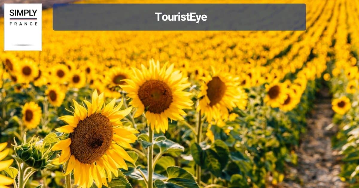TouristEye
