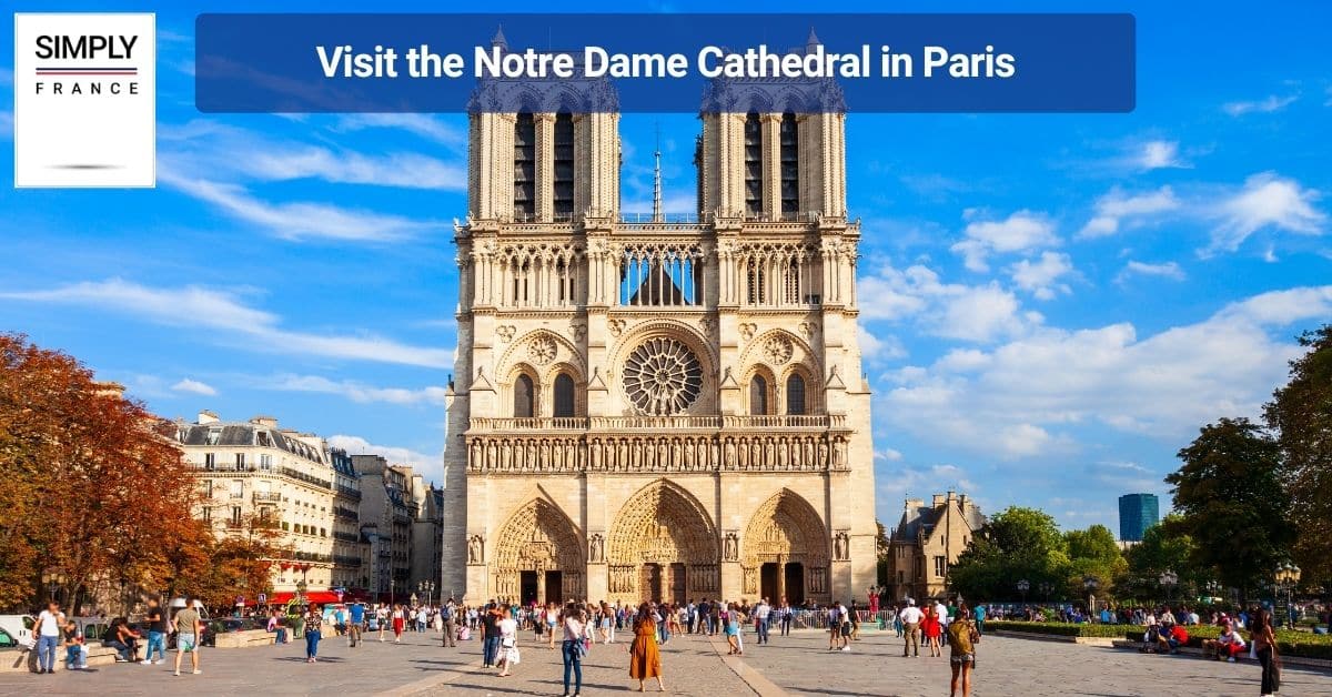 Visit the Notre Dame Cathedral in Paris